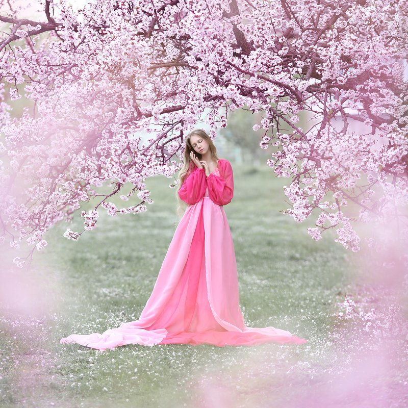 цветущие сады, цветущий сад, сакура, цветение, весна photo preview