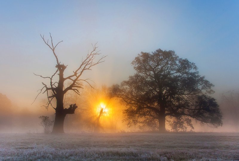 Latarniaphoto preview