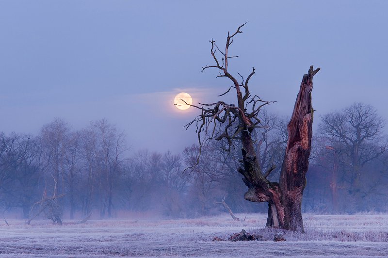 Spotkaniephoto preview