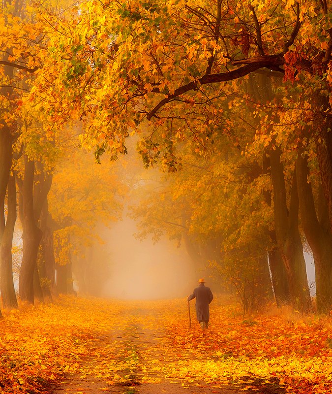 Jesień życiaphoto preview