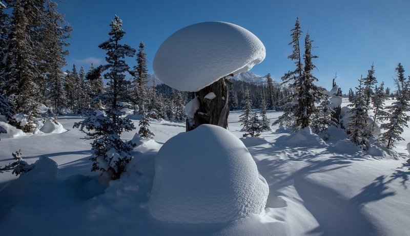 Снеговичокphoto preview