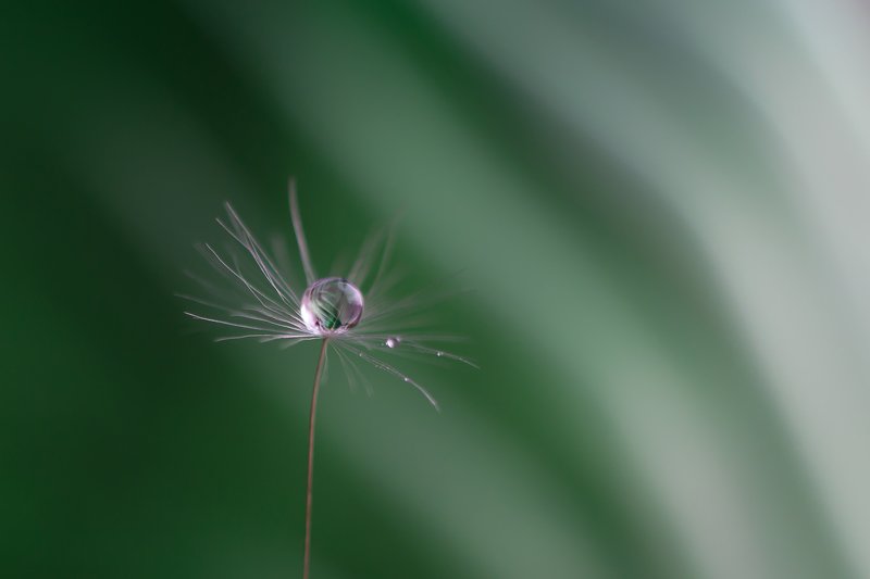 зеленые волныphoto preview