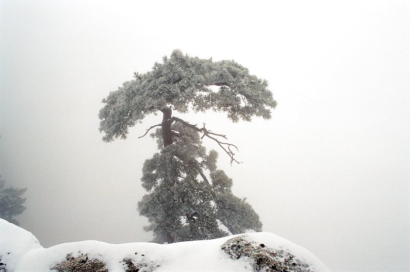 Над обрывом фото превью
