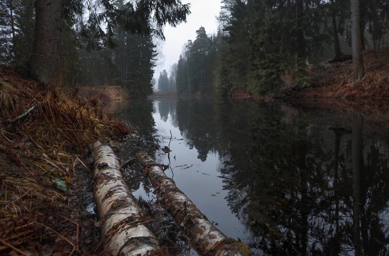 питер, павловскийпарк, павловский, пейзаж, рассвет Унылая пора . . .photo preview