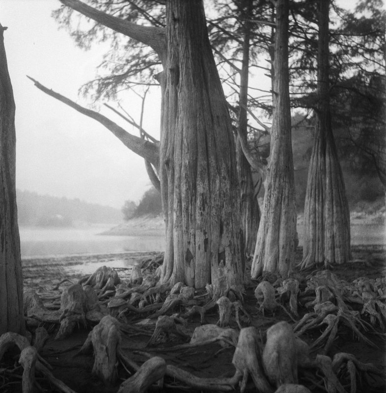 анапа, сукко Кипарисыphoto preview