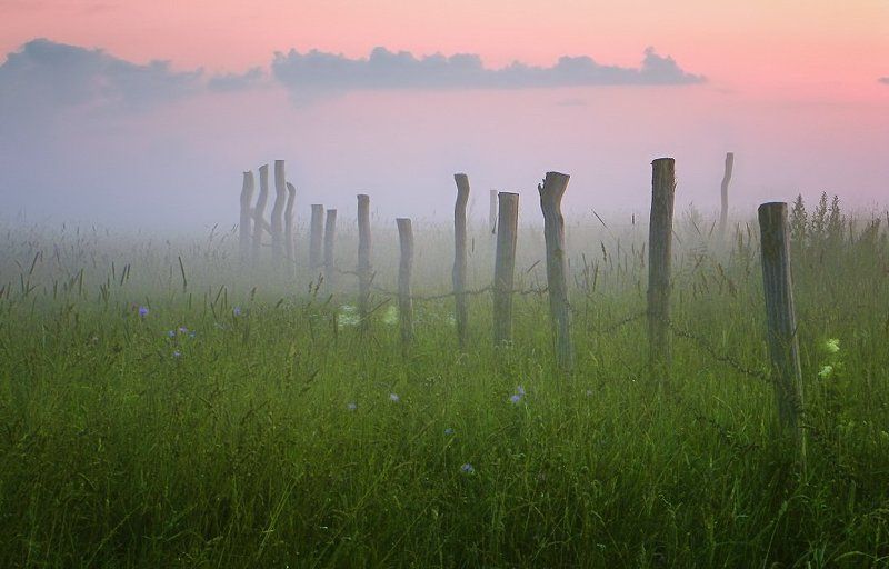 забор, поле, туман, вечер Цветной вечер фото превью