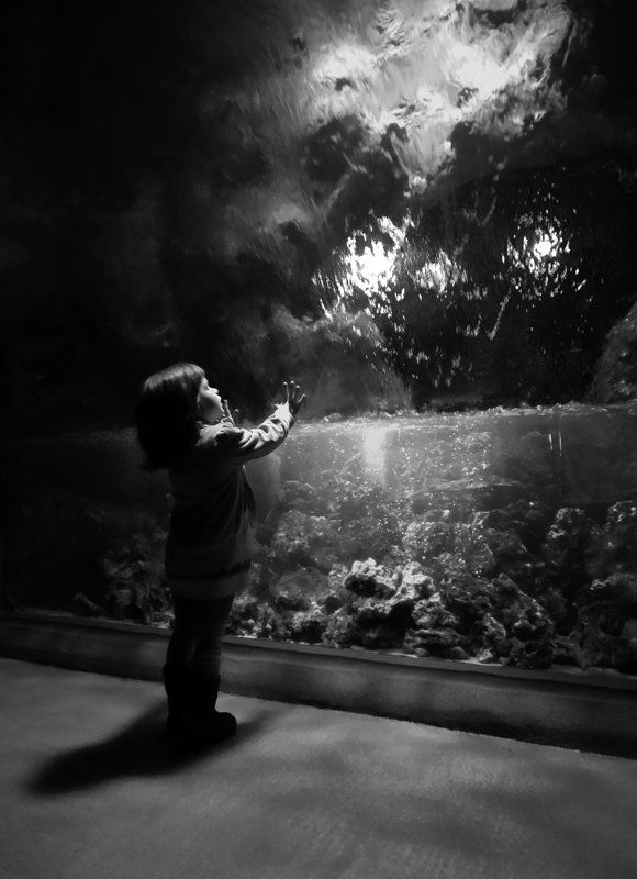 жанр ***photo preview