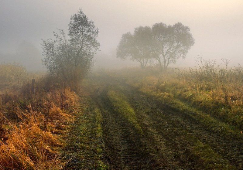 Туманными дорогамиphoto preview