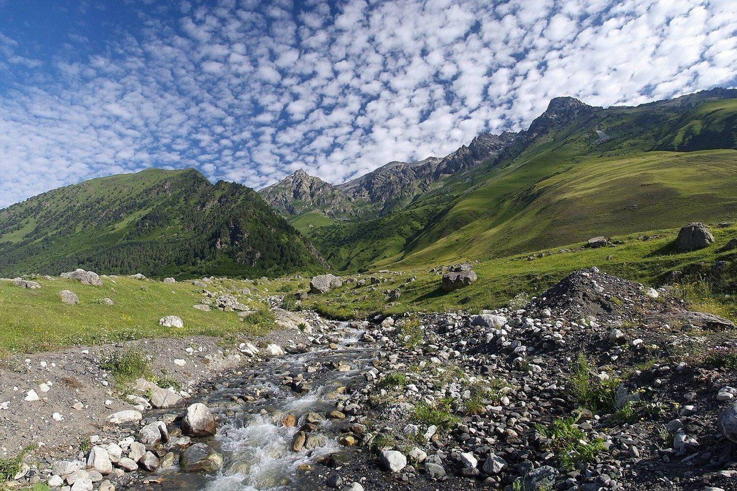 кавказ, Андрей