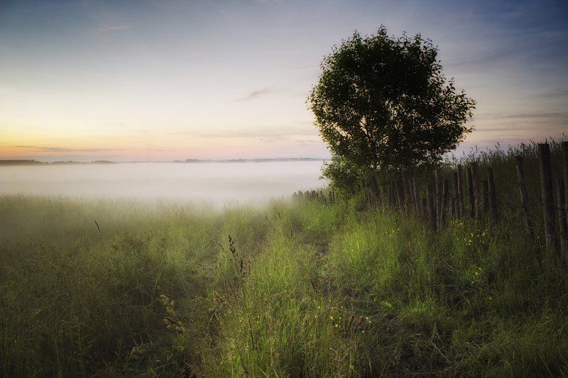 поле, туман, вечер, забор Мягкое поле фото превью
