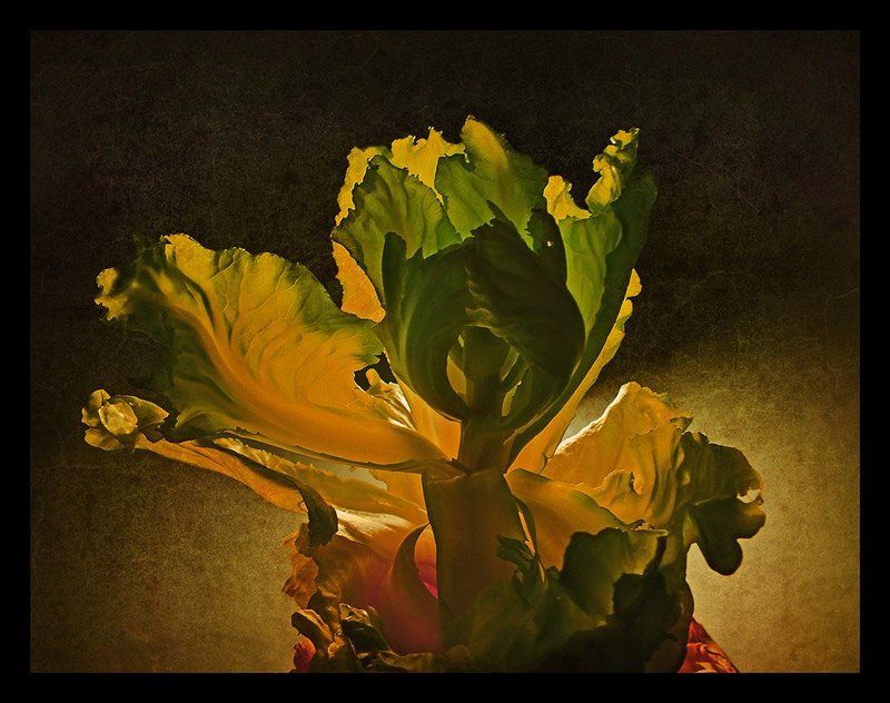 Танецphoto preview