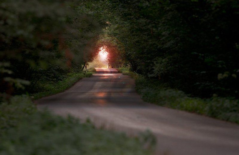 дорогаphoto preview