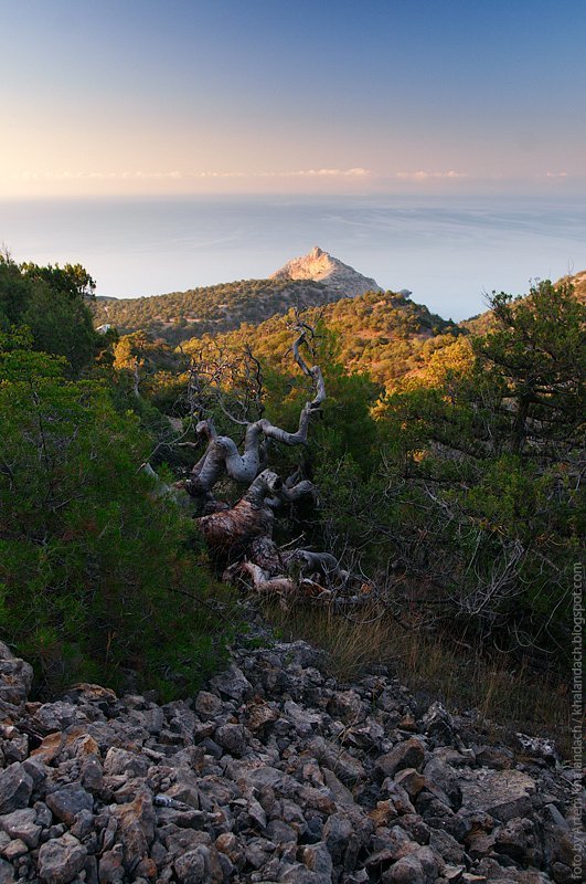 Жизнь из камнейphoto preview