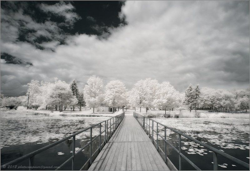 Another reality...photo preview