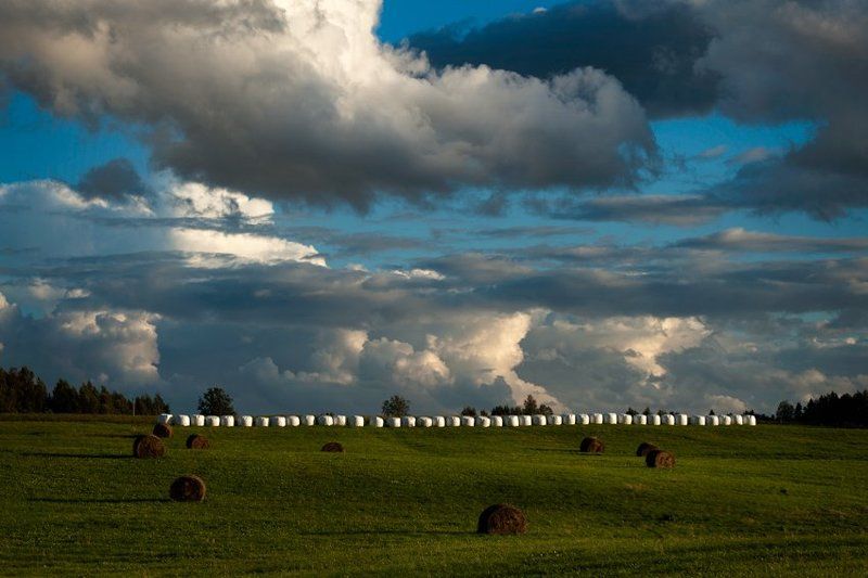 Музыка на любой вкусphoto preview