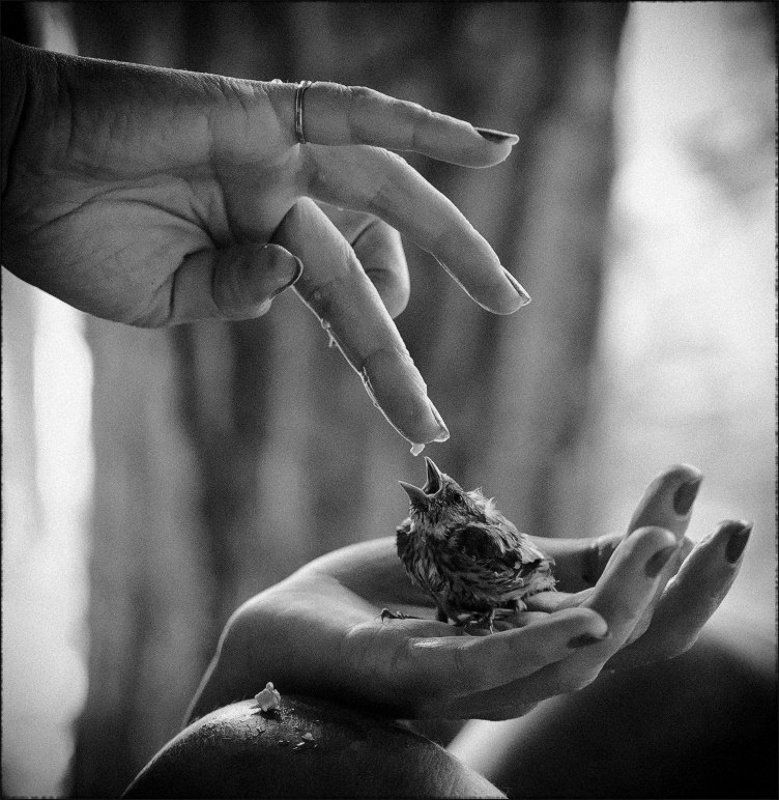 скажи ааа...photo preview