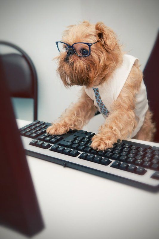 Сайт голых кошек!!photo preview