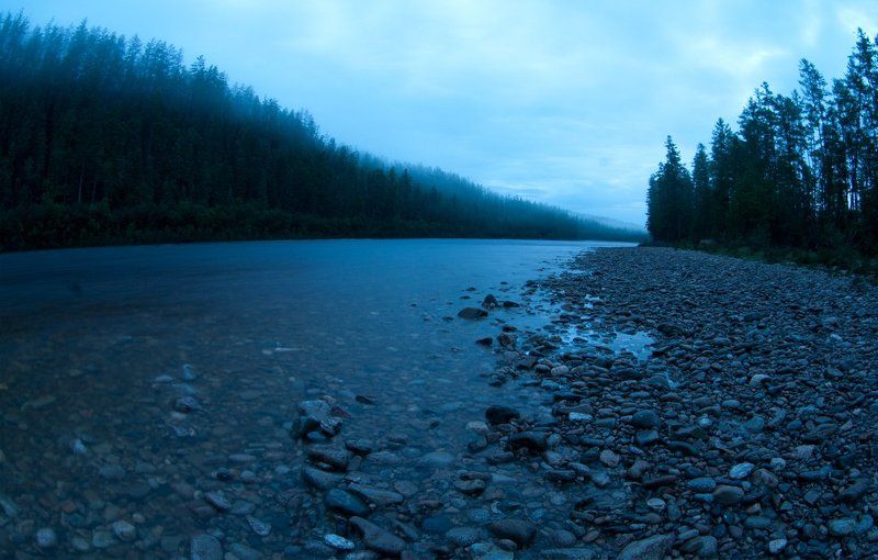 утро, река ток, рассвет, тайга, август, зея, бомнак Предрассветное утроphoto preview