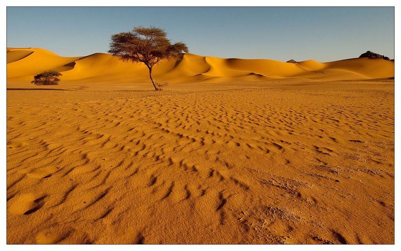 алжир, сахара, песок Тhe memories of future...photo preview