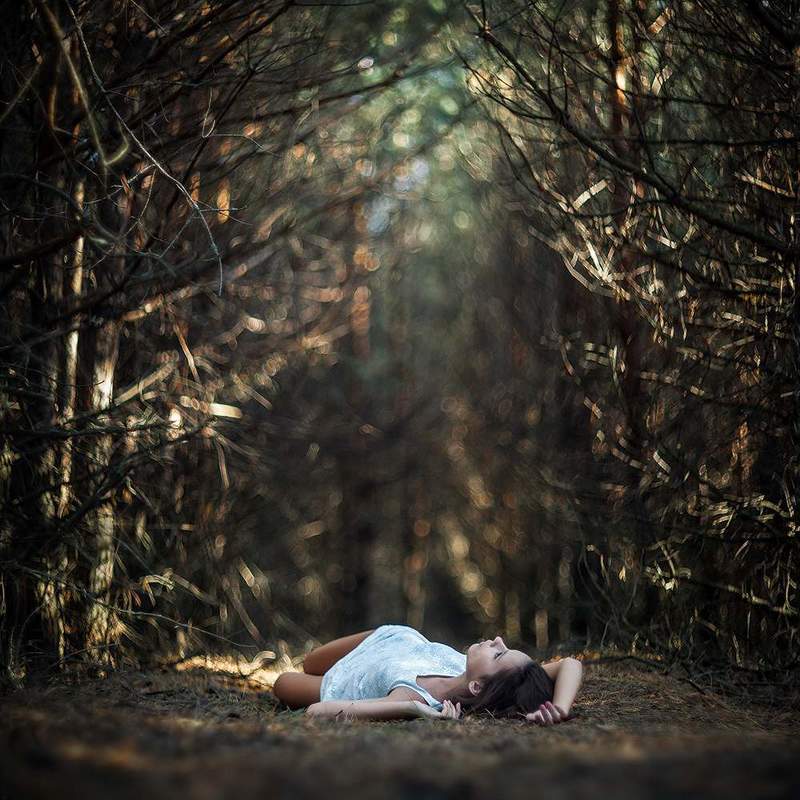 в объятиях лесаphoto preview