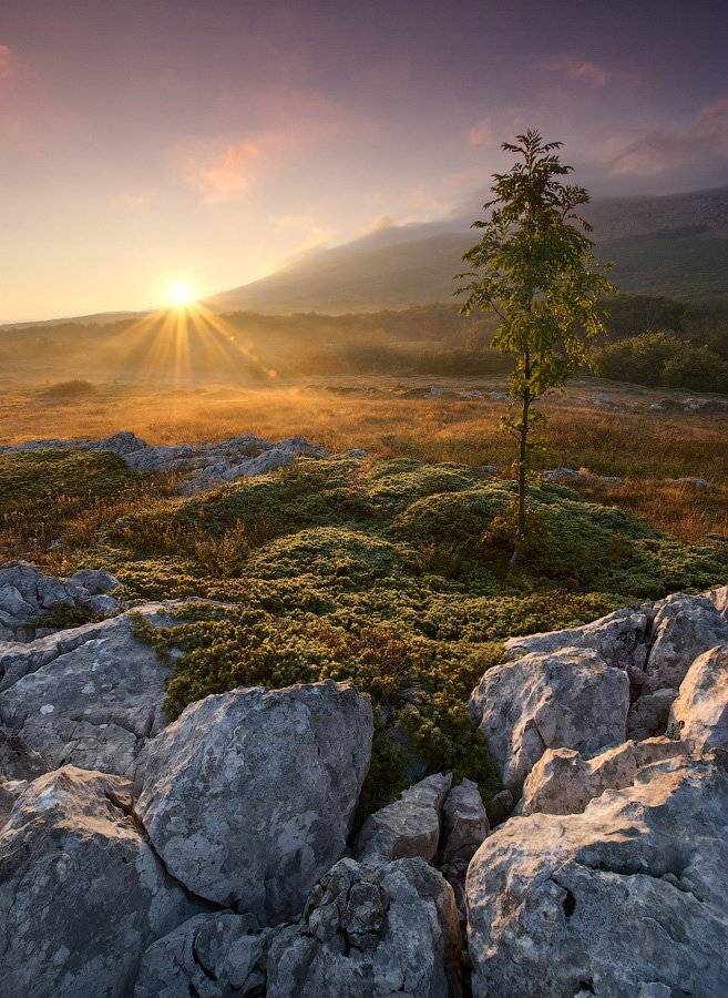 утро, рассвет, чатыр-даг, крым, Виталий Башкатов
