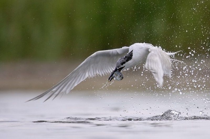 Рыбак ...photo preview