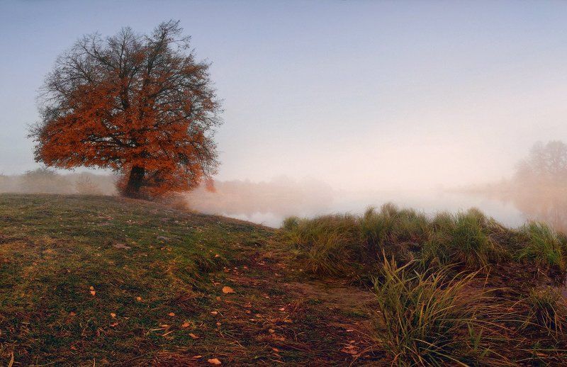 Скоро осень...photo preview