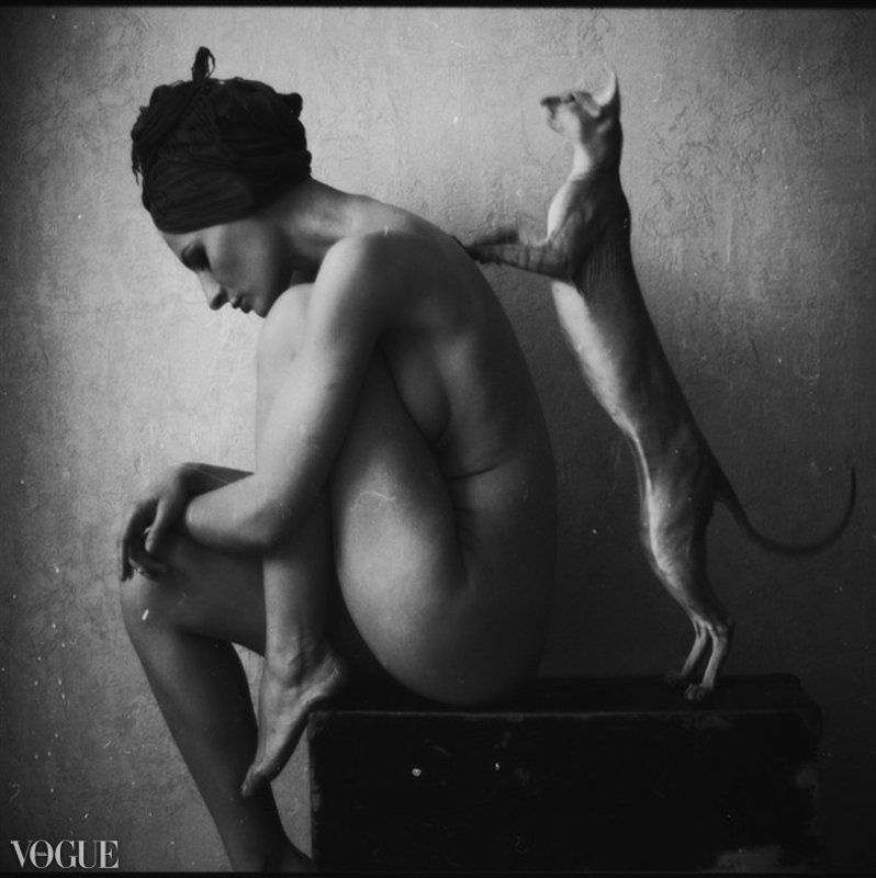 damian, hovhannisyan *photo preview