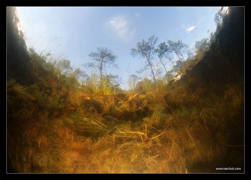 Зазеркальеphoto preview