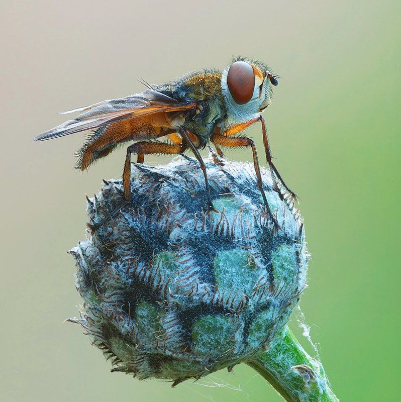 ещё раз про футбол...photo preview