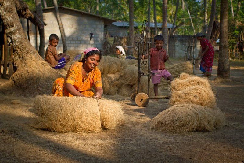 индия, керала, кокосовое волокно когда работа в радостьphoto preview