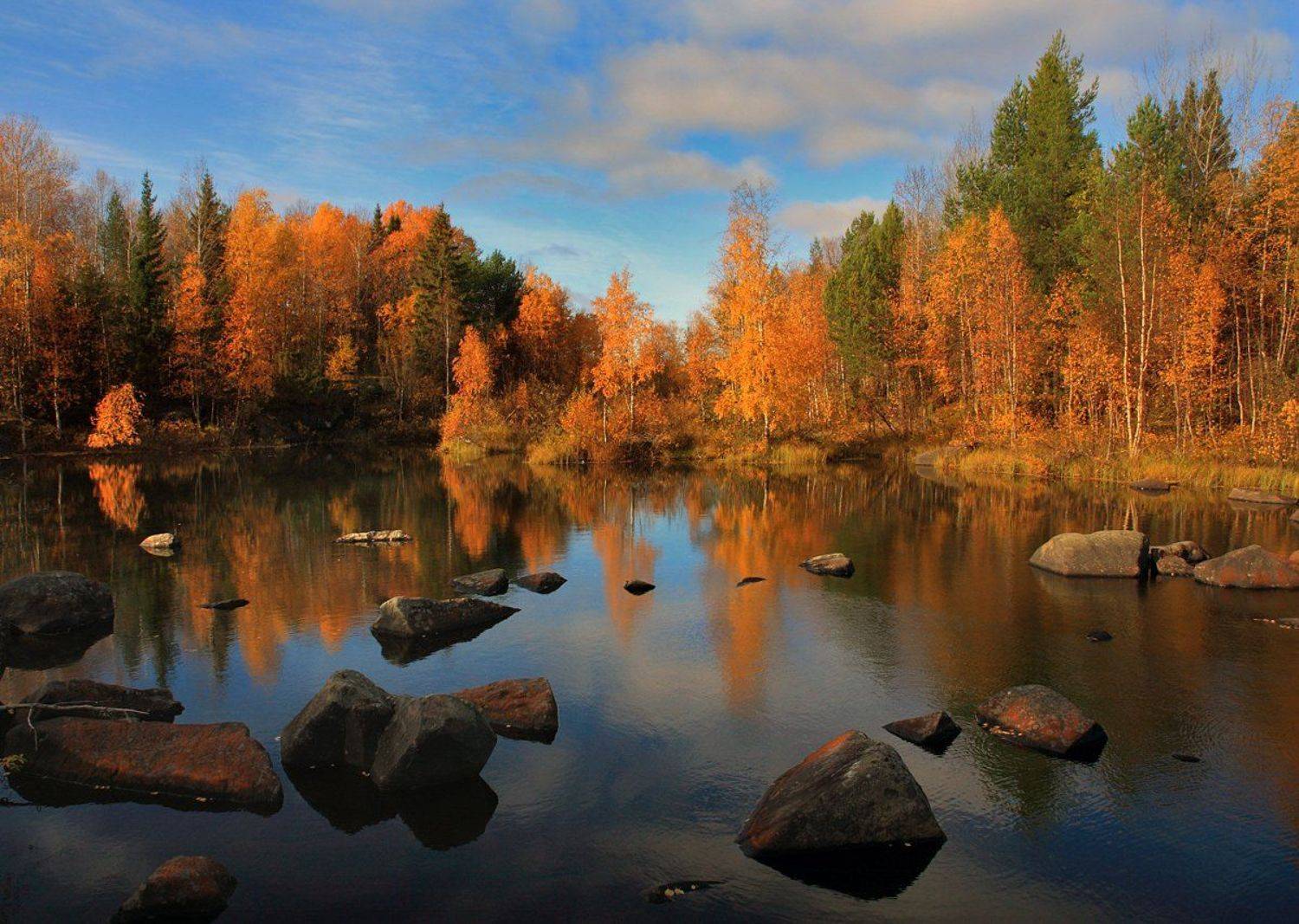 Осень. Автор: Андрей Котов , Андрей Котов
