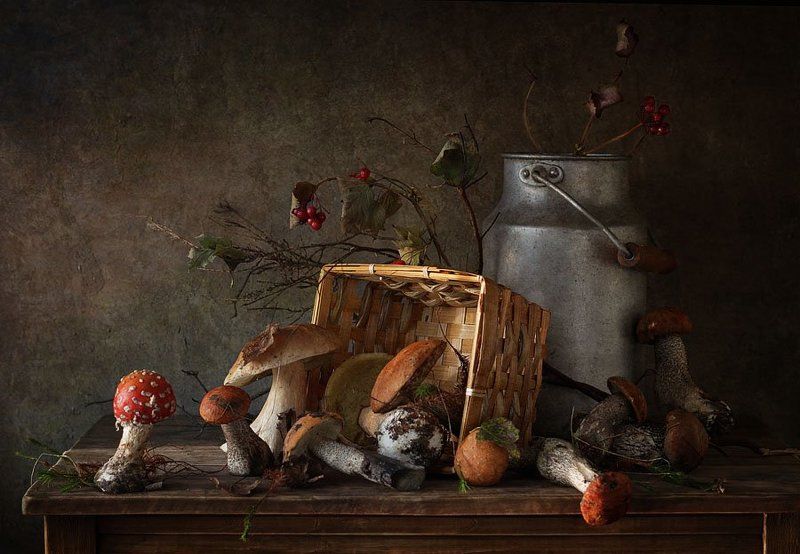 история про мухоморчикphoto preview