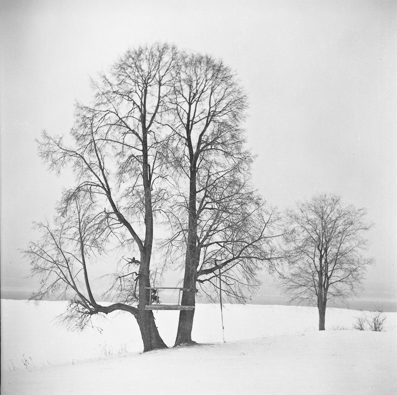 Персональная серия \