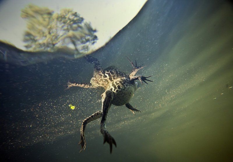 Осень.photo preview