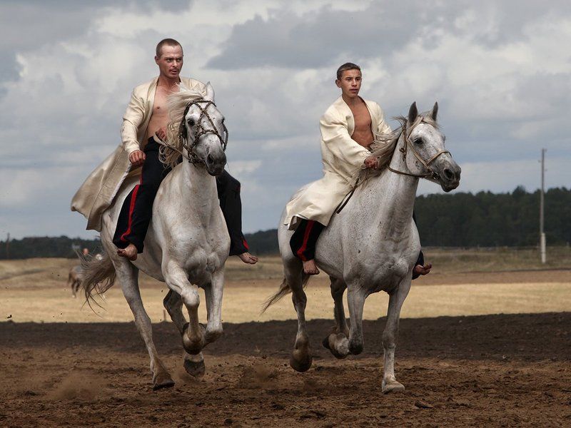 казаки,кабаново,барачаты Дневной дозорphoto preview