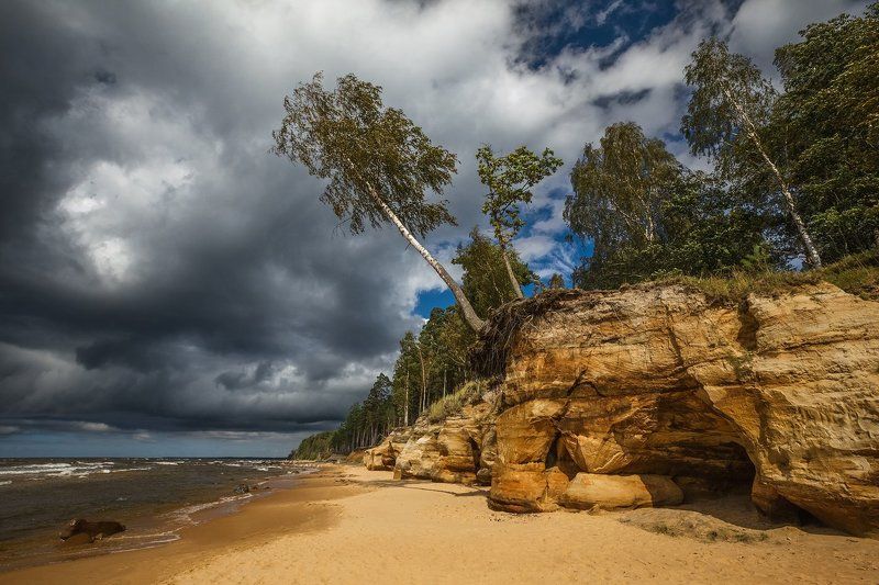 Янтарный берегphoto preview