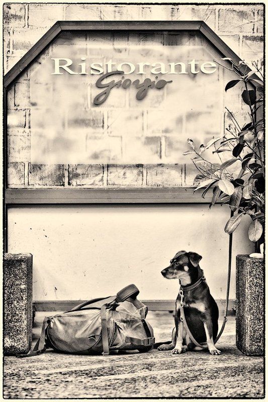 Очень хочется есть ...photo preview