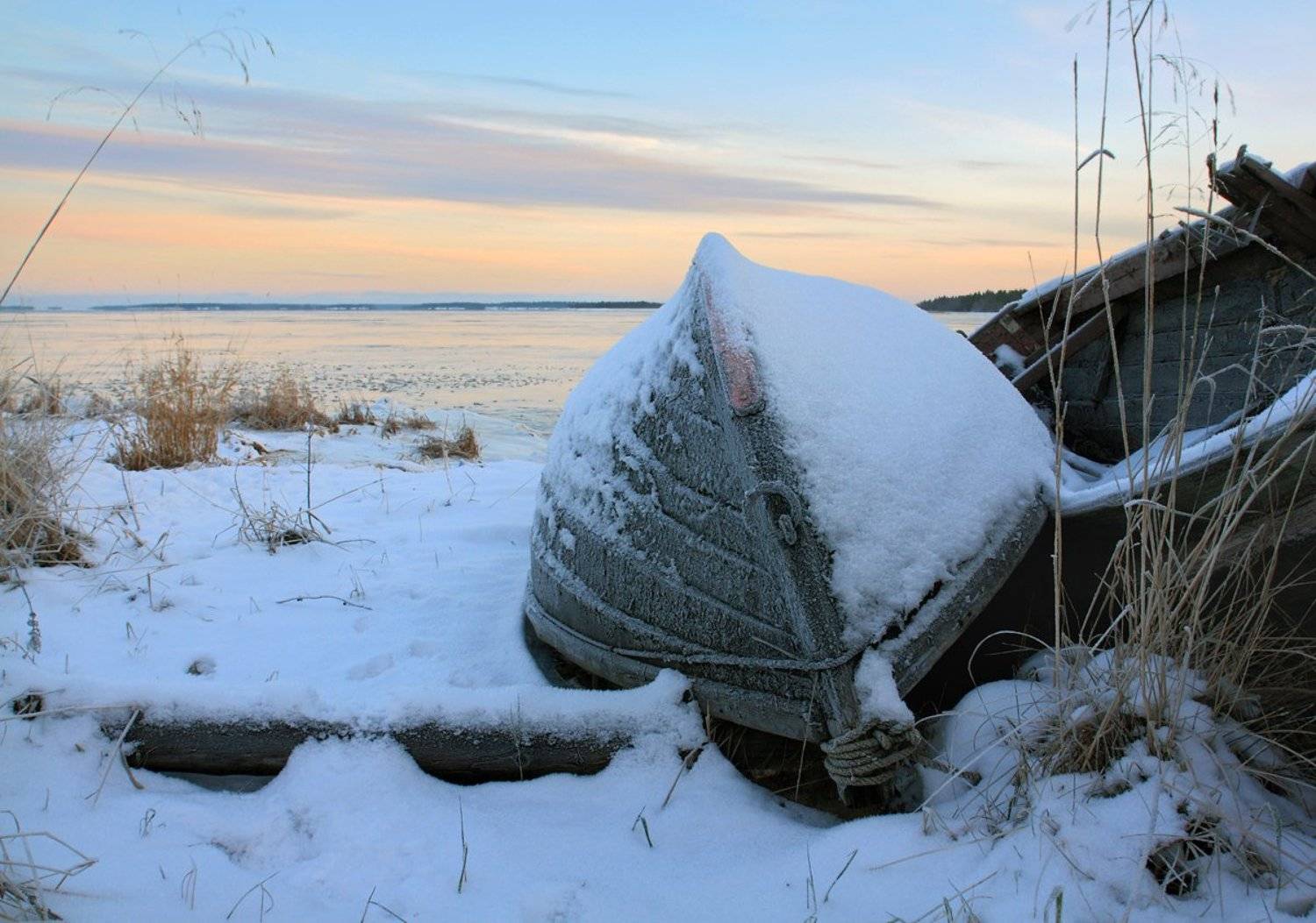 , Андрей Котов