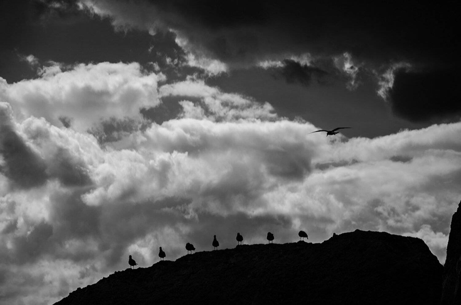 Автор: Павел Нагорный судак, алчак, чайки, небо, Павел Нагорный