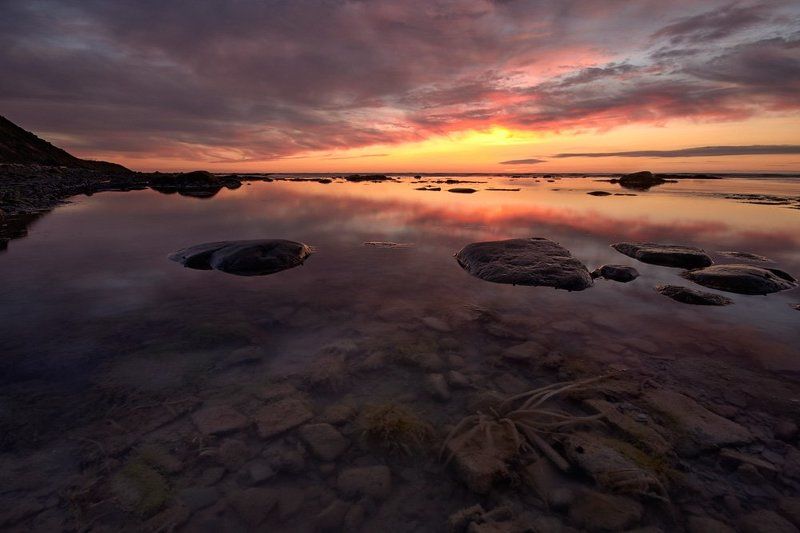 Белая ночь и Белое мореphoto preview