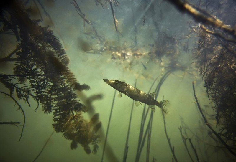 Охотаphoto preview