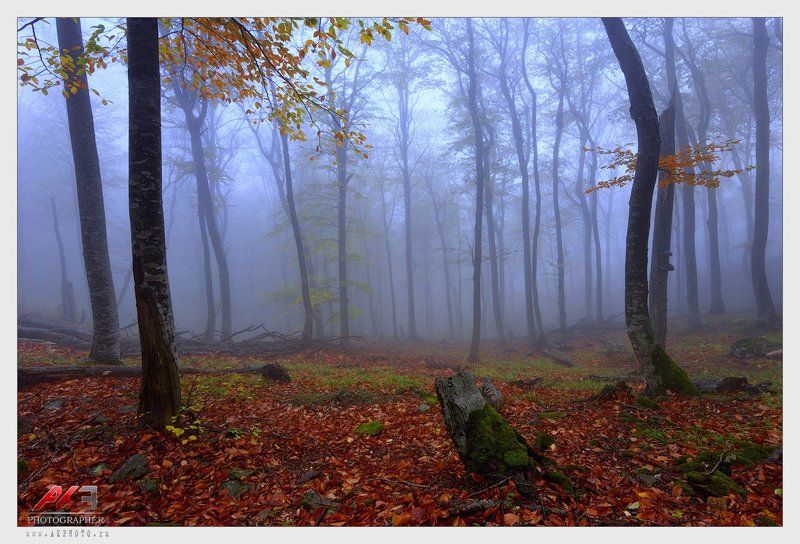 гора, бештау, кмв, осень, пятигорск Бештау в туманеphoto preview