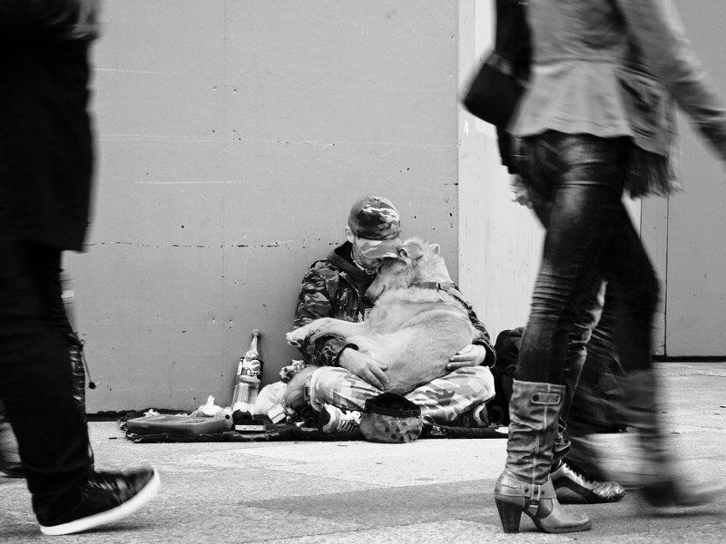 Параллельные мирыphoto preview