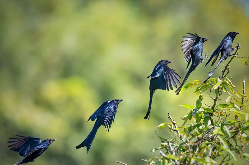 Take offphoto preview