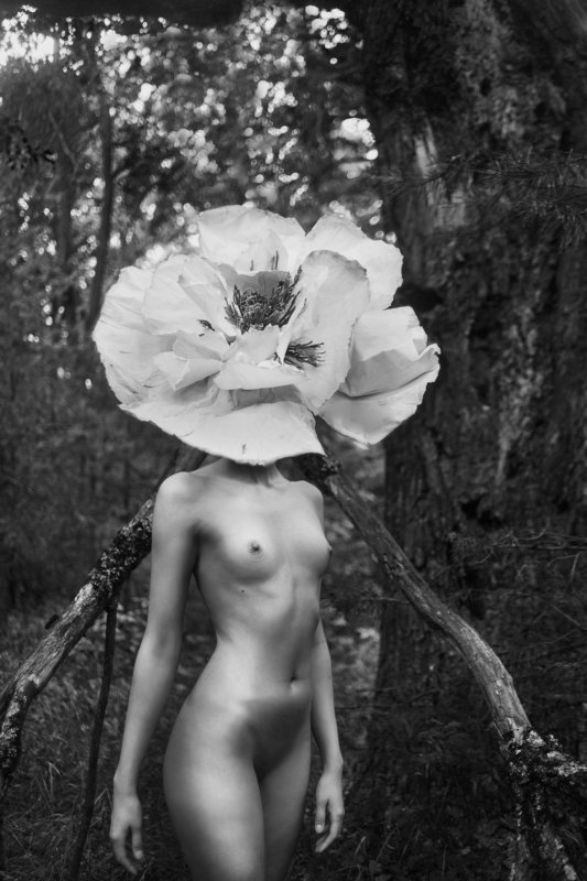 Цветок photo preview