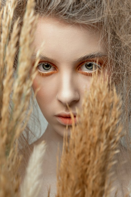 портрет Dried flowerphoto preview