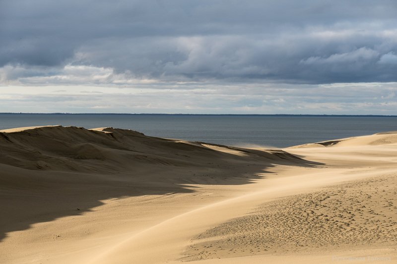 В дюнахphoto preview