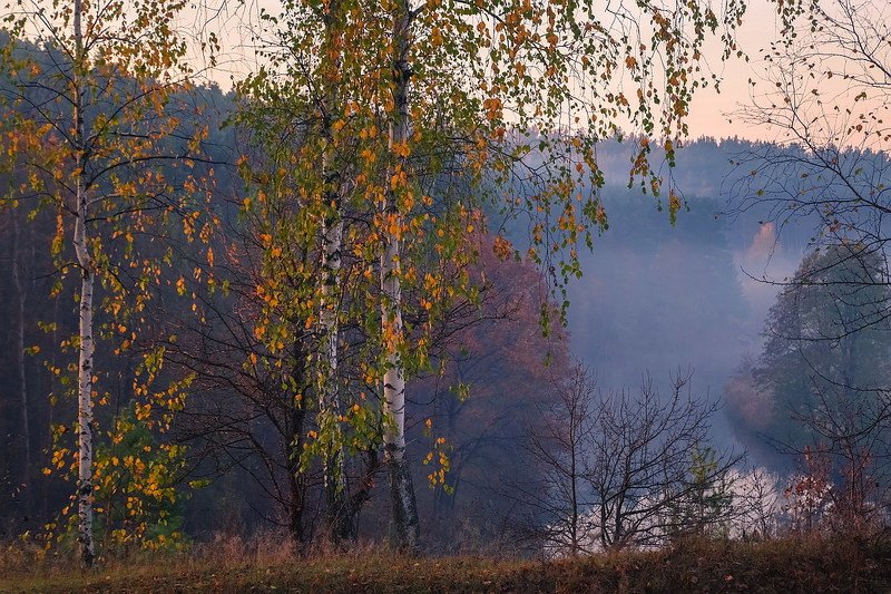 На пороге осеньphoto preview