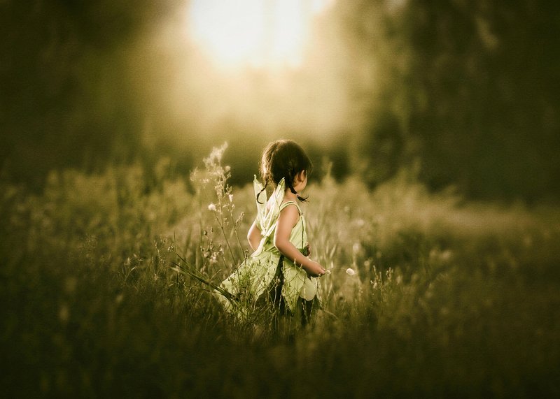 Tinkerbellphoto preview